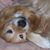 Dan-Kathy Bonnett's profile image