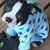 Misty Lynn Smith's profile image