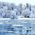 Linda Weintz Nelson's profile image