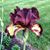 Joan Bradley's profile image