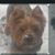 Karen Smith Cox's profile image