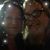 Lori Robinson's profile image