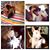 Michele Baisley's profile image
