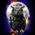 Debbie Chadderdon's profile image