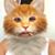 Jason Bolger's profile image