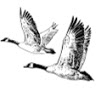 Dane S.'s profile image