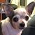 Lisa Wilson Hart's profile image
