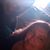 Melody Wall's profile image