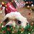 Brenda Mack's profile image