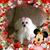 Bobbie Nagel's profile image