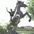 Rafael Nieves's profile image