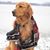 Barbara Ail Noll's profile image