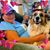 Nanci Ryker-Judd's profile image