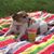 Amy DeBolt Lobo's profile image