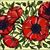 Dottie Herring's profile image