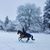 Emily Pestl-Dimmitt's profile image