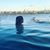 Felicia Callis Guerrier's profile image