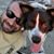 Joe Vassallo's profile image