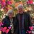 Debi Gallion Fitzgerald's profile image