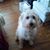 Eunice Taylor's profile image