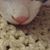 Tina Clem's profile image