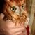 Donna Newberry's profile image