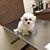 Gervacio Rosa's profile image