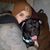 Cooper Ugland's profile image