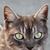 Stacy Broomberg's profile image