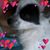 Deborah Ruth Gates's profile image