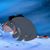 Margaret Wolfer's profile image