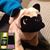 Shu Miyamoto's profile image