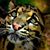 Steven Jackson's profile image