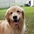 Diane Helen's profile image