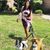 Stephanie L Chicas's profile image