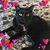 Sharry Tilocco's profile image