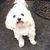 Jo Anne Hines's profile image