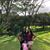 Esperanza Reyes Rosales's profile image