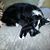 Angie Razzetti's profile image
