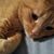 Jonathan Kessel's profile image
