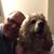 Charles Carsley's profile image