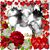 Beverly Vujnovich's profile image