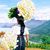 Barbara Helms's profile image