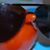 Jen Reed's profile image