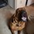 Valerie Bradshaw's profile image