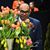 Gerard Paty's profile image