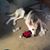 Barb Liszeo's profile image