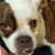 Andrew Kopacz's profile image