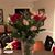 Patty Ladd Greenleaf's profile image