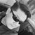 Dave Lee's profile image